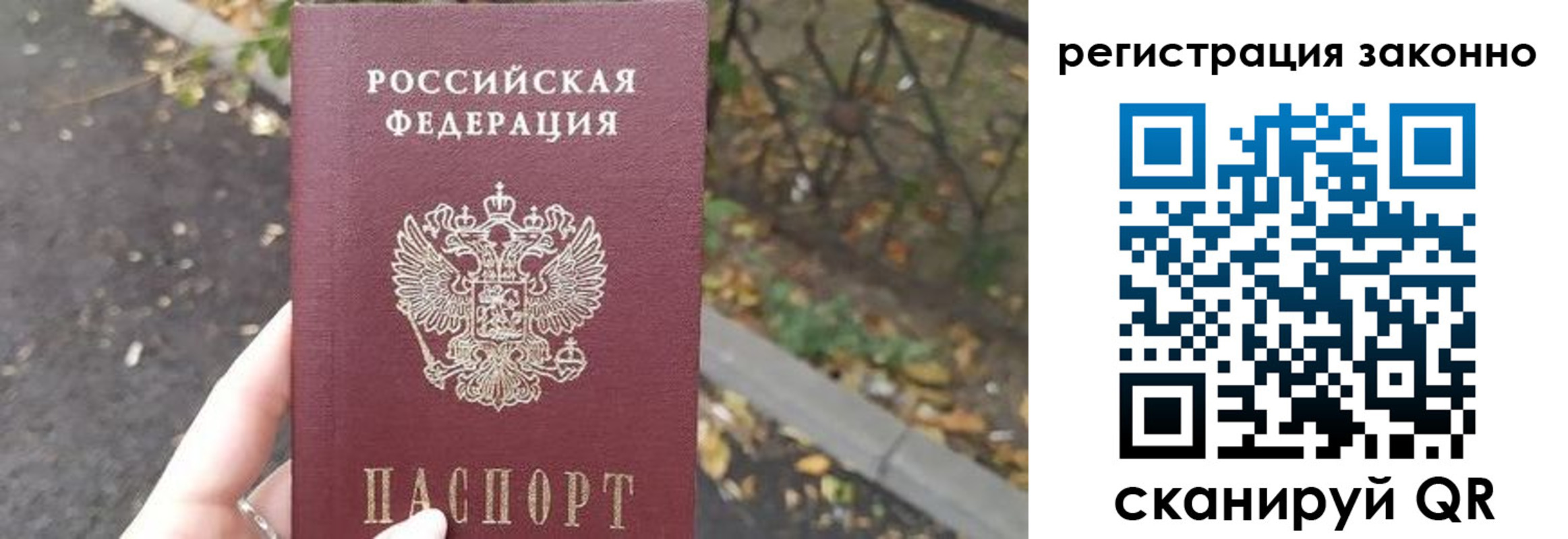 регистрация в Елизово